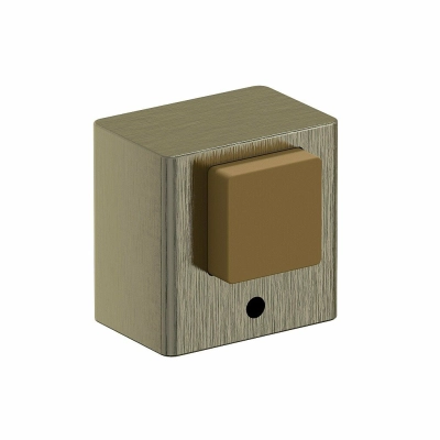 DS-1