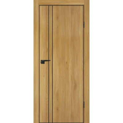 Дверь P-20 кромка ABS черная c 4-х ст. Дуб золотистый, черный молдинг